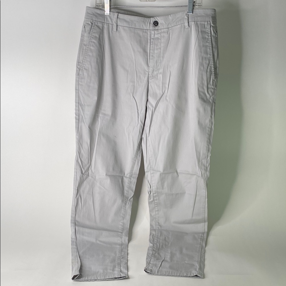 Birddogs Gray Chinos Comfortable and Versatile - Stains